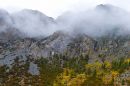 Morning_Mist_in_the_Sierra_s_2_DSC_1092_web1000.jpg