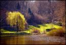 Mount_Edgcumbe_Country_Park_UK.jpg