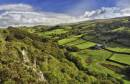 NEW0221Dyfed_Hillfarm_1016_x_658_.jpg