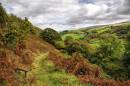NEW0354_Carreg_Cennan_1072_x_712_.jpg