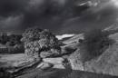 NEW0461Cwm_Crew_Monochrome_1024x768_.jpg