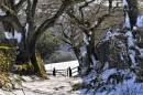 NEW0559Old_Lane_804_x_534_.jpg
