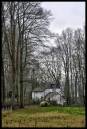 NEW1450St_Fagans_Tall_Trees-1_1024x768_.jpg