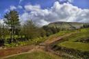 NEW3645Red_Sandstone_Path2_1072_x_712_804_x_534_.jpg