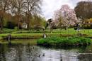 NEW4211St_Fagans_Revisted_1072_x_712_.jpg