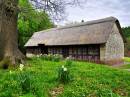 NEW4250Thatched_Longhouse_800_x_600_.jpg