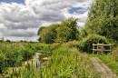 NEW6515Magor_Marsh_1072_x_712_.jpg