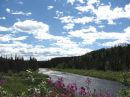 N_W_T_River_1.jpg