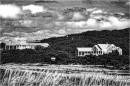 Nestled_at_Menemsha.jpg