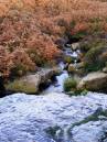 North-Gill-BECK-800.jpg