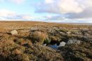 North_Yorkshire_Moors_10.jpg