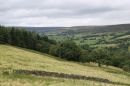 North_Yorkshire_Moors_4-9-2019_.jpg