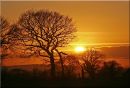 Nov_Sunset_2_Web_.jpg