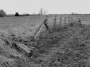 OLD_FENCE_3.jpg