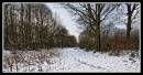 Offham_walk_Mereworth_Wood_snow.jpg