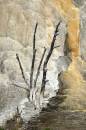 Orange-Spring-5198-web.jpg
