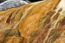 Orange-Spring-5207-web.jpg