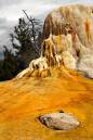 Orange-Spring-5228-web.jpg