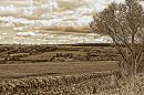 Over_Lanchester_pe1_edited-1.jpg