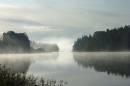 P1000778-1.jpg