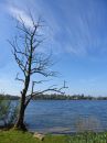 P1010061M2.jpg