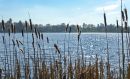 P1010067M2.jpg