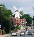 P1010597-1.JPG