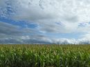 P1020283M_resize.JPG