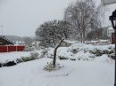 P1020401M_resize.JPG
