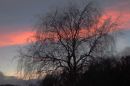 P1070457_JPGm_resize.jpg
