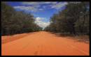P1250891s2.jpg