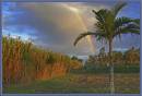 P1280020-22-web.jpg