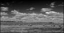 P1400328_BW_HighContrast.jpg