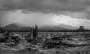 P1440537-38_v3_mono_1024.jpg