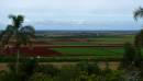 P7063420View_from_the_Hummock_resize.jpg