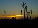 P708345sunrise_bundy_AA.jpg