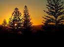 P9108556_PINES_sunset.jpg