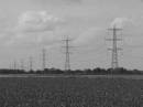 PYLON1.jpg
