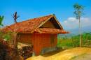 Palm_House_Sukabumi_2006-07-08.JPG