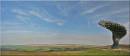 Panorama_2_Web_edited-1.jpg