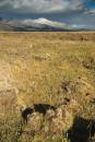 Pastureland_-Tagong-for-wpf.jpg