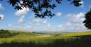 Patchwork-1.jpg