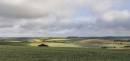 Patterns_of_Light-1.jpg