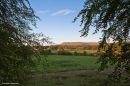 Pendle_Veiw_Lan_wpf_2.jpg