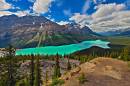 Peyto_Lake_D700_6716-8_12x8.jpg