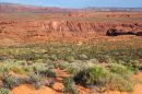 Photographer_at_Horseshoe_Bend_JRG_5496.jpg