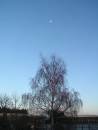 Pict0011.jpg