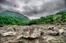 Picture_056.jpg