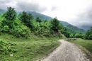 Picture_098.jpg