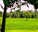 Picture_105.jpg